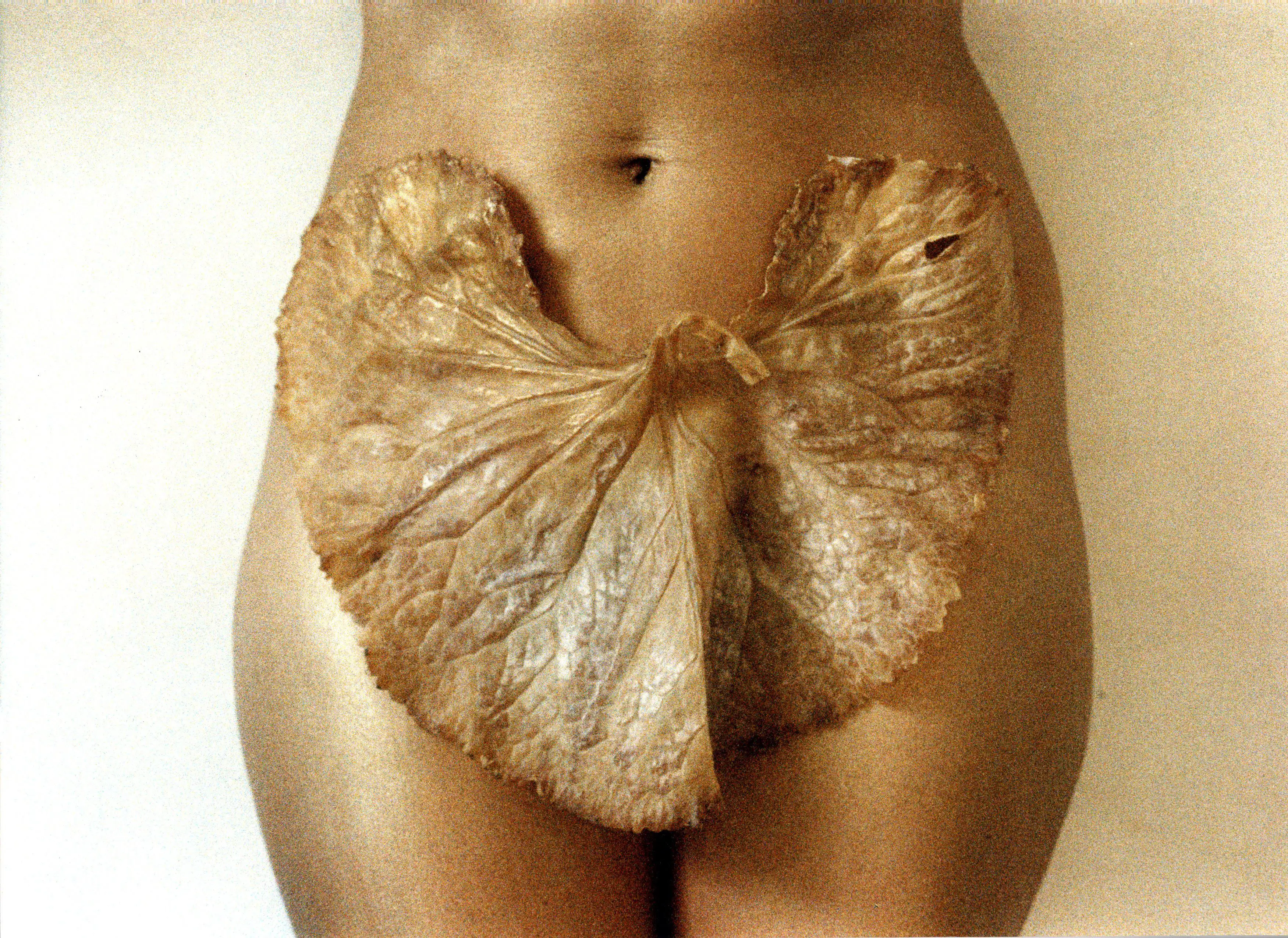 Birgit Jürgenssen's work shows the lower body of a woman. Her vulva is covered by a large leaf. The picture is held in golden bronze tones.