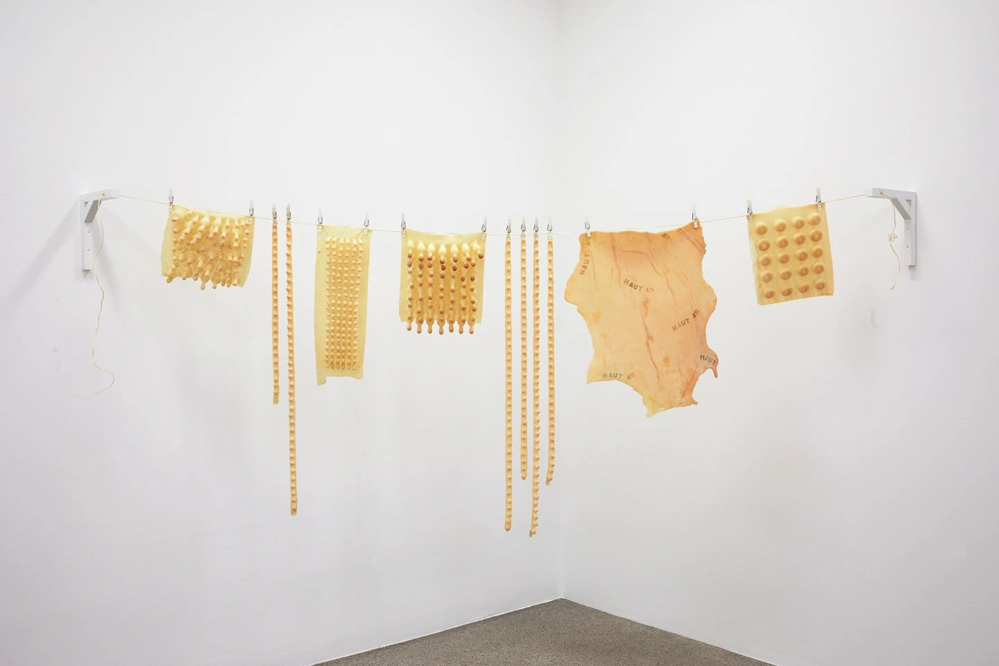 You can see a white wall with an art installation. Several elements are clamped onto a string with clips.