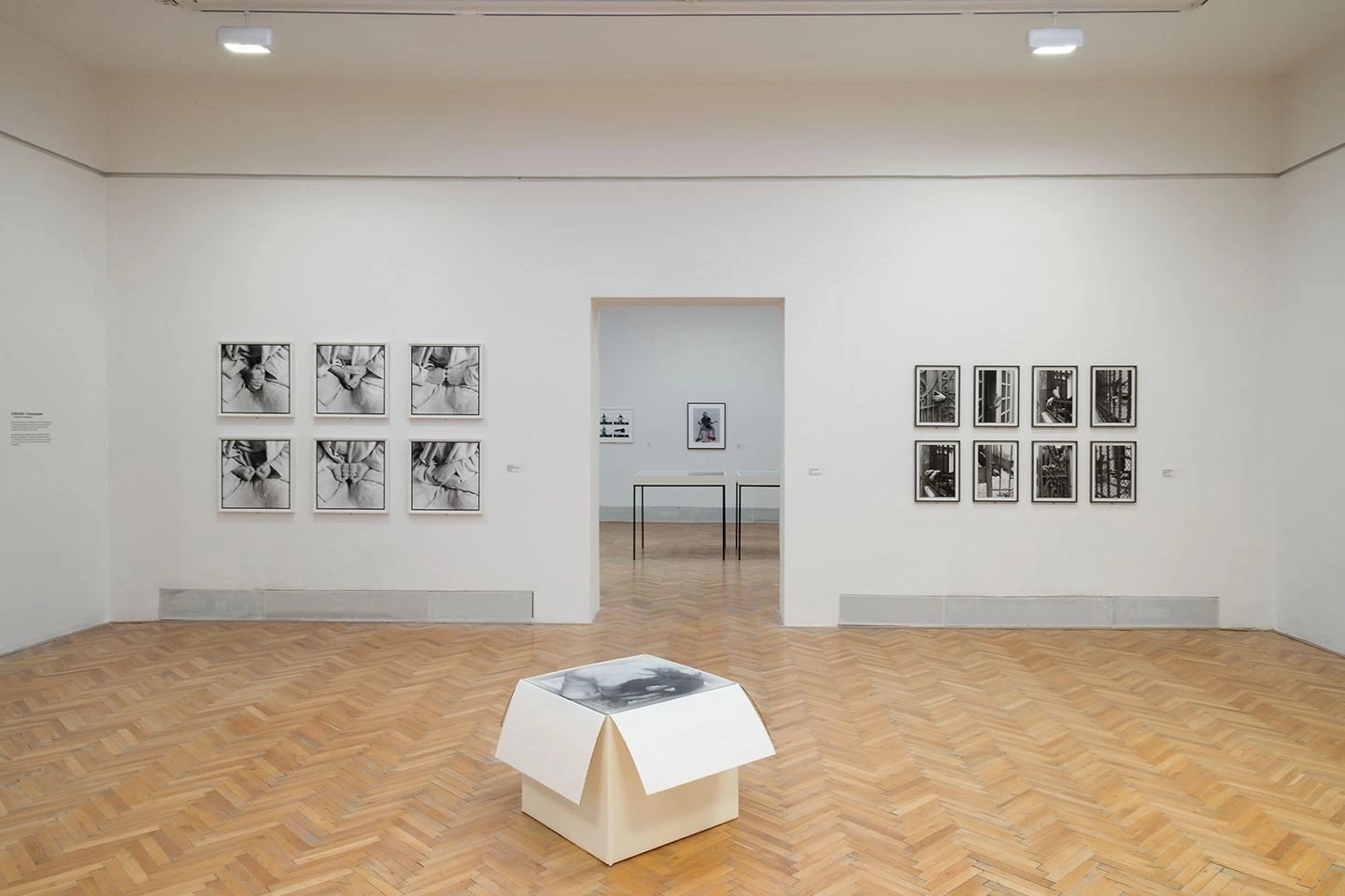 A bright exhibition room in the House of Arts in Brno with a door in the middle of the wall can be seen. There are photographs on the walls and a white box in the middle