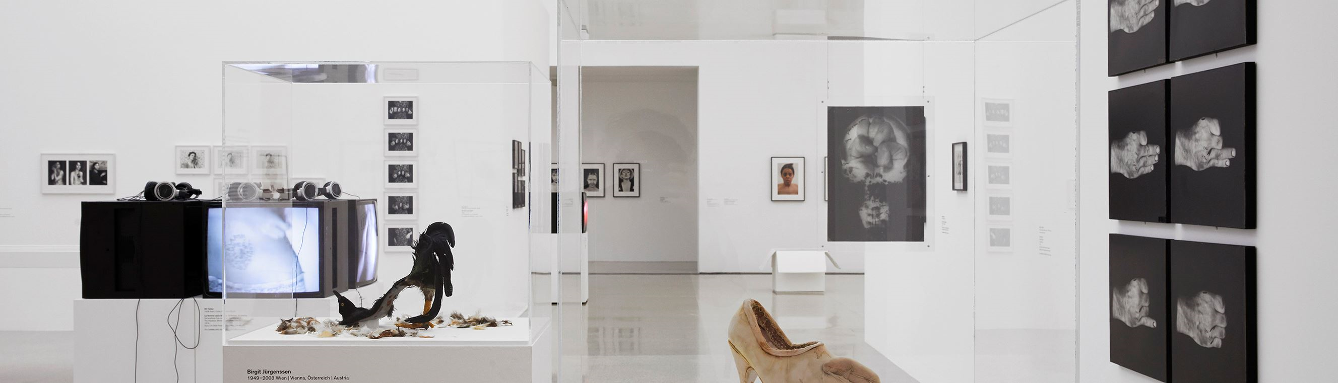 Zu sehen ist ein heller Ausstellungsraum mit mehreren Exponaten. An den Wänden hängen Fotographien auf Leinwand gedruckt und in der Mitte des Raumes stehen zwei Vitrinen mit Kunstwerken.